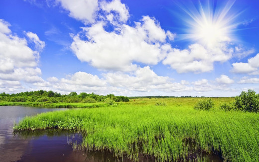 503796 (a): :2560x1600